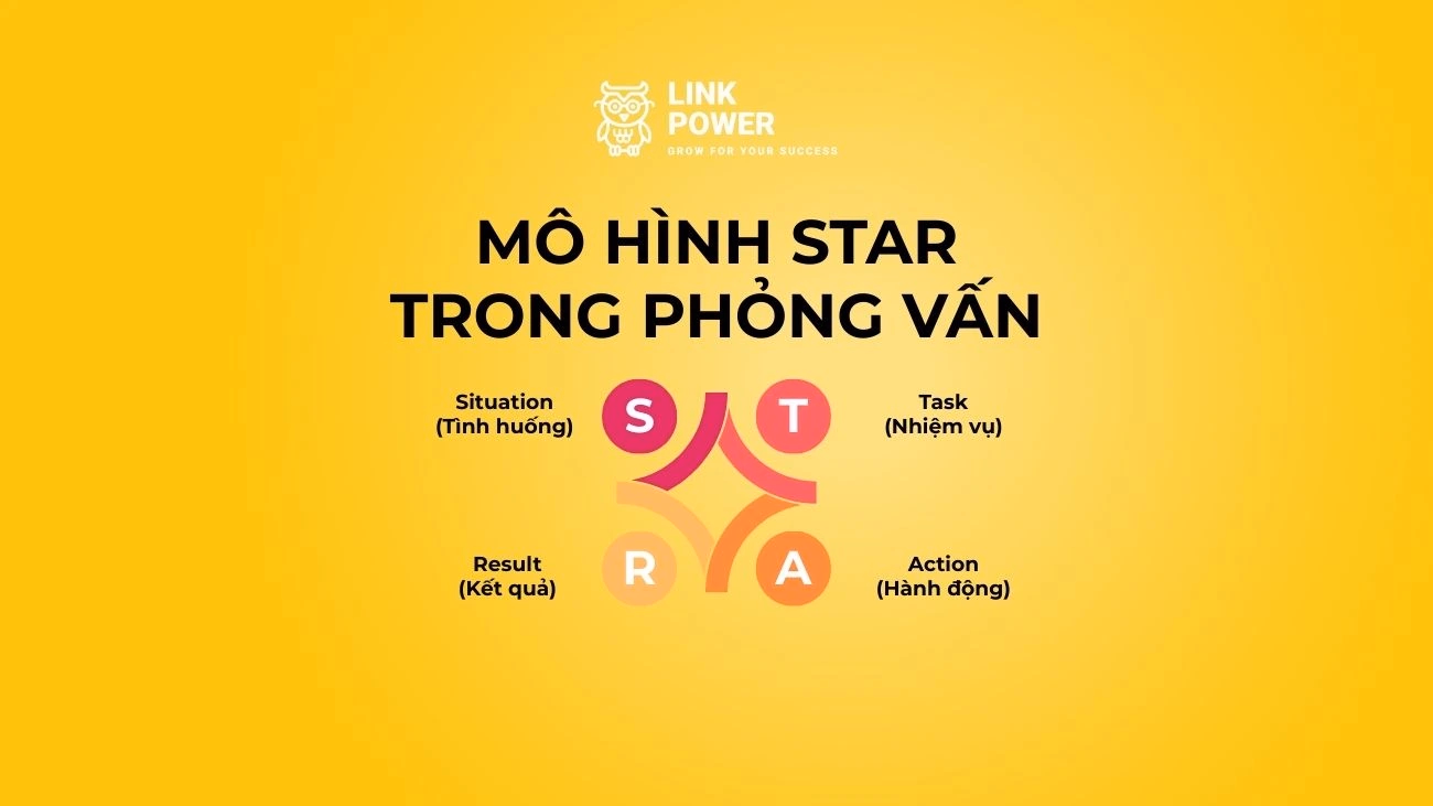 MÔ HÌNH STAR LÀ GÌ? CÁCH ÁP DỤNG MÔ HÌNH STAR TRONG PHỎNG VẤN
