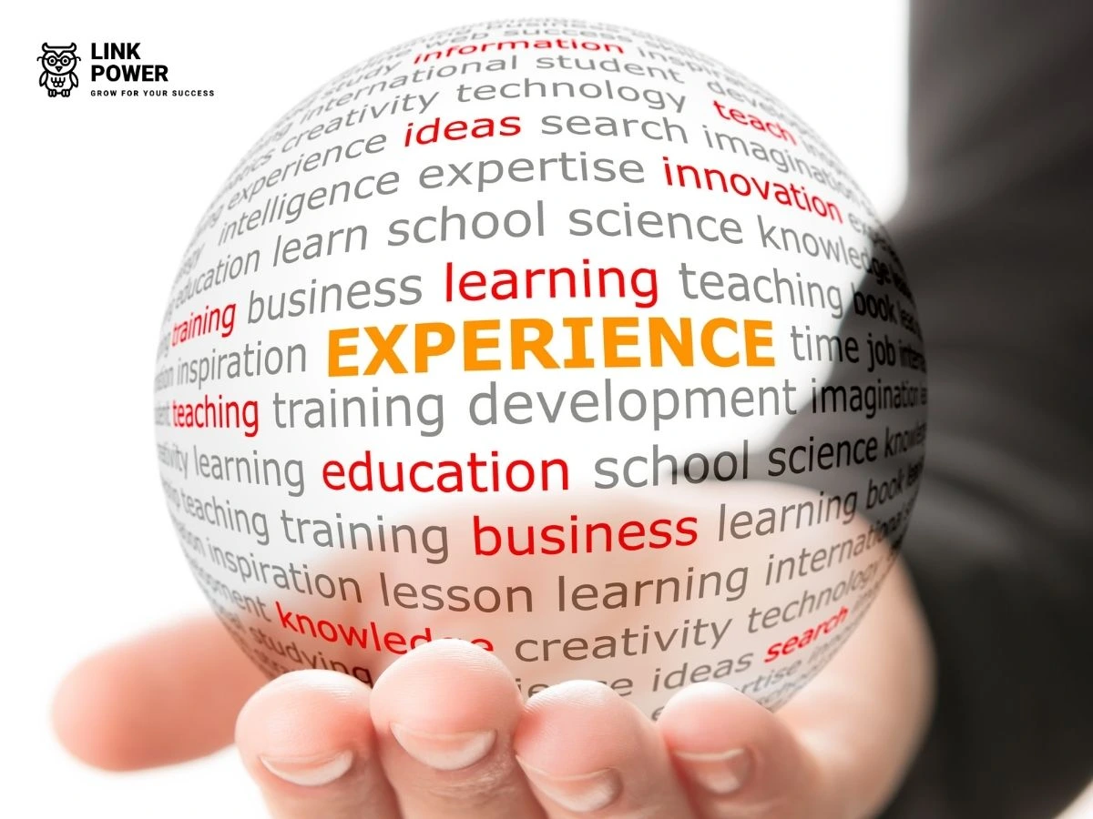 viết phần kinh nghiệm trong cv xin việc