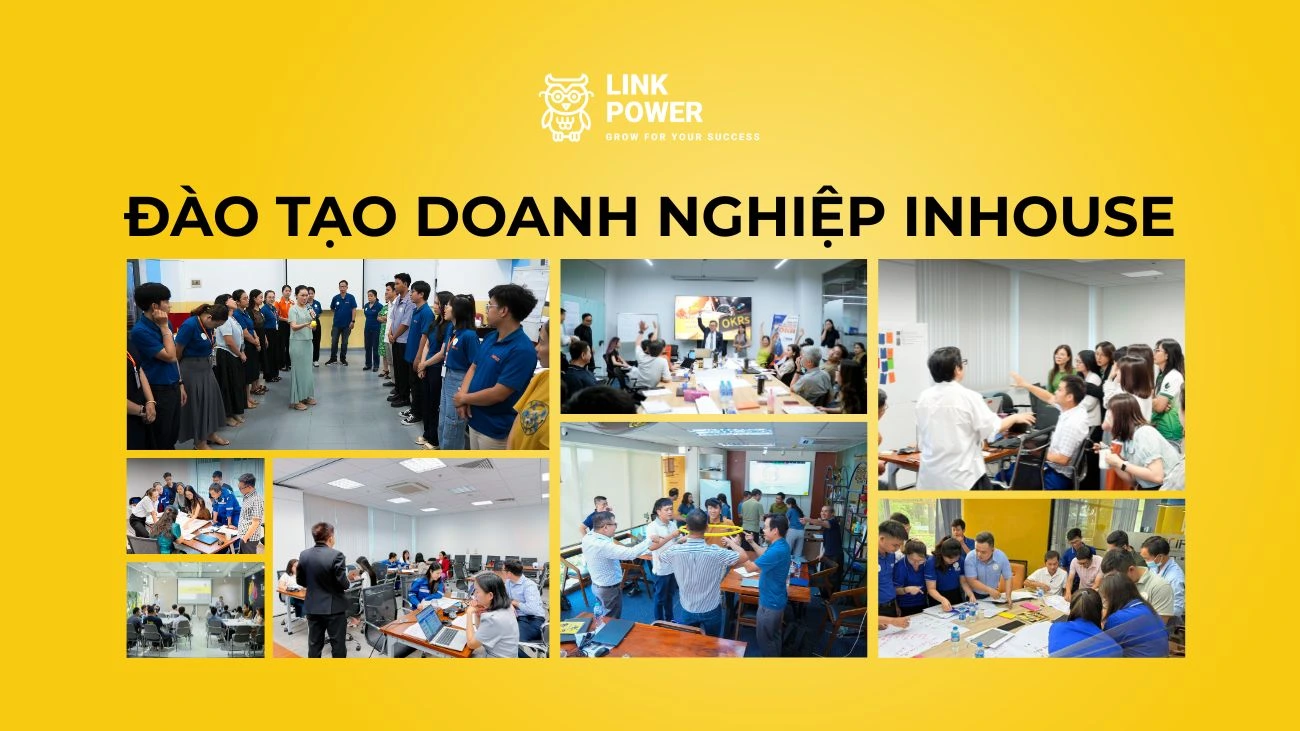 ĐÀO TẠO DOANH NGHIỆP INHOUSE THEO NHU CẦU TẠI LINK POWER CÓ GÌ ĐẶC BIỆT?