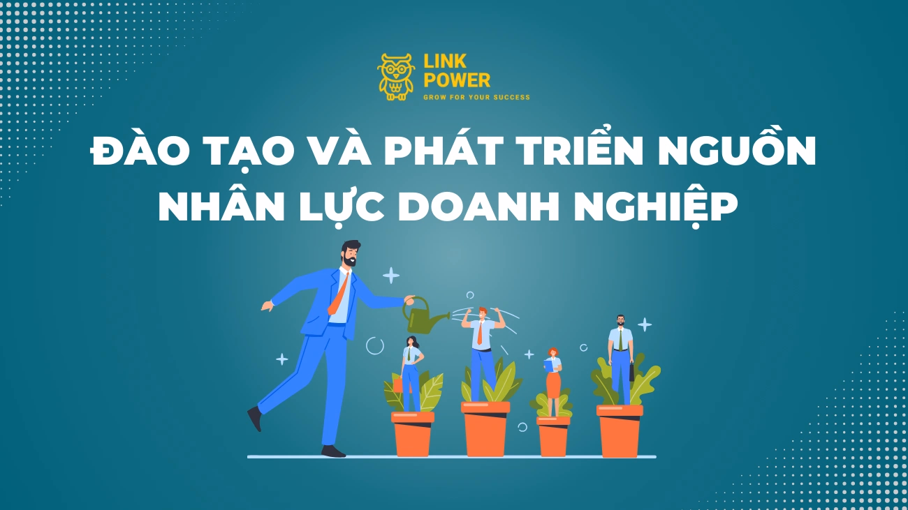 ĐÀO TẠO VÀ PHÁT TRIỂN NGUỒN NHÂN LỰC DOANH NGHIỆP
