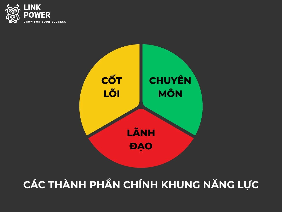 cac-thanh-phan-chinh-khung-nang-luc