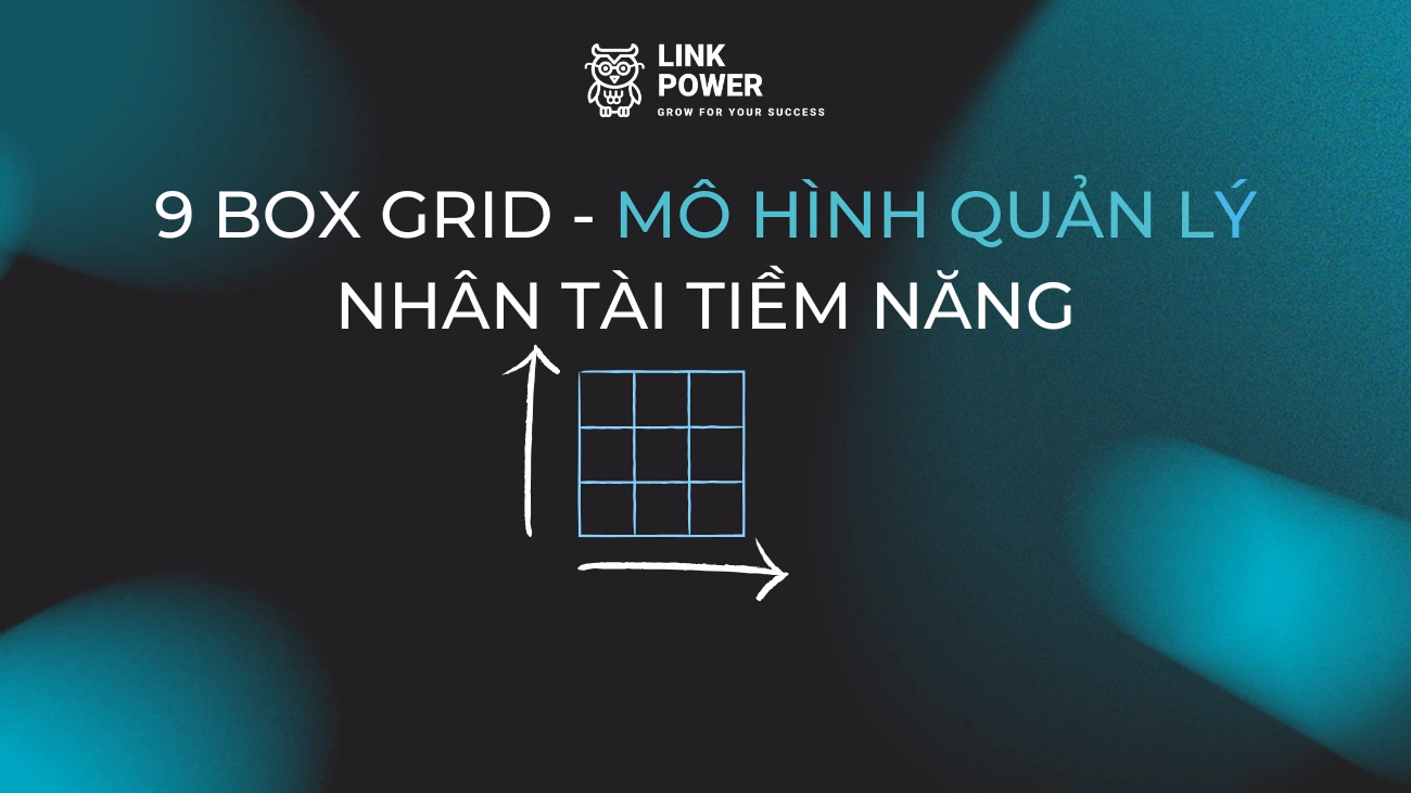 9 BOX GRID - MÔ HÌNH MA TRẬN QUẢN LÝ NHÂN TÀI VÀ TIỀM NĂNG