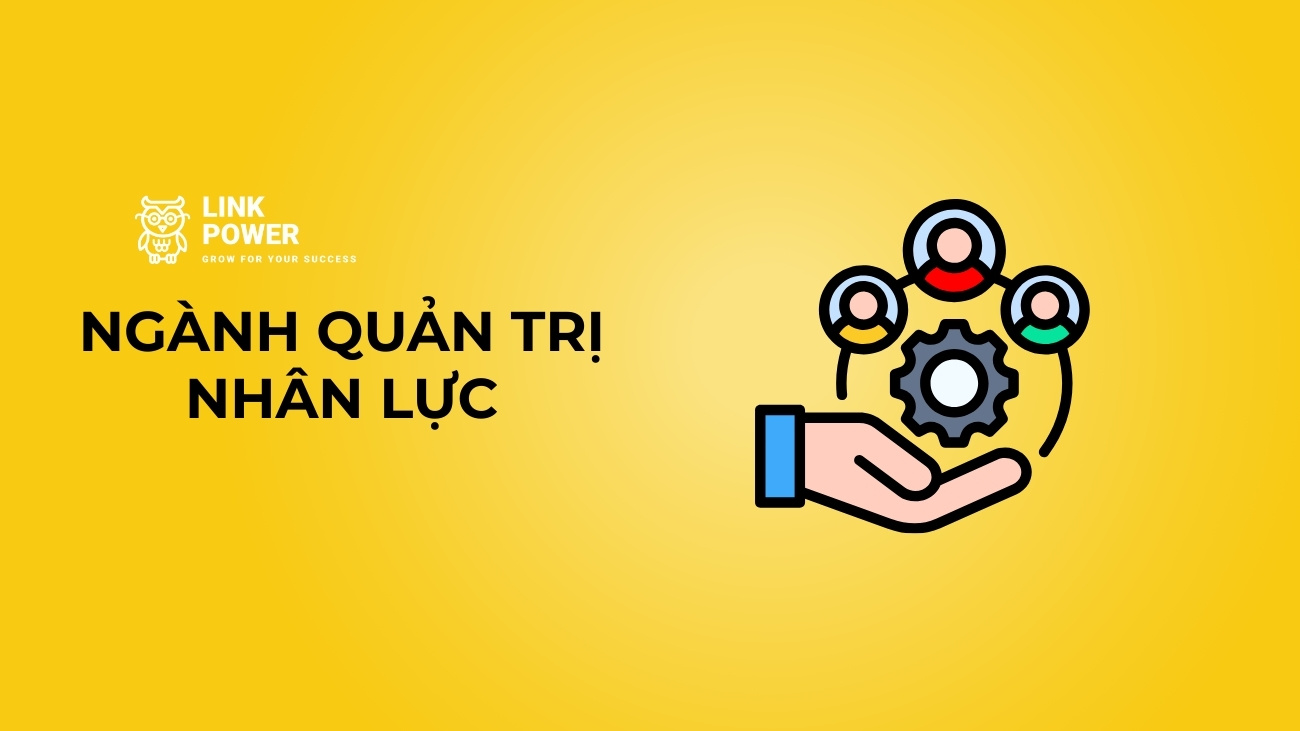 NGÀNH QUẢN TRỊ NHÂN LỰC LÀ GÌ? HỌC GÌ?