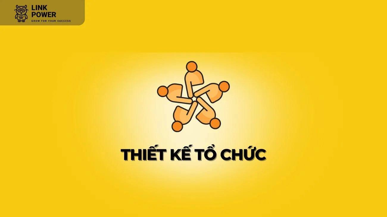 THIẾT KẾ TỔ CHỨC LÀ GÌ VÀ NGUYÊN TẮC TRONG THIẾT KẾ TỔ CHỨC