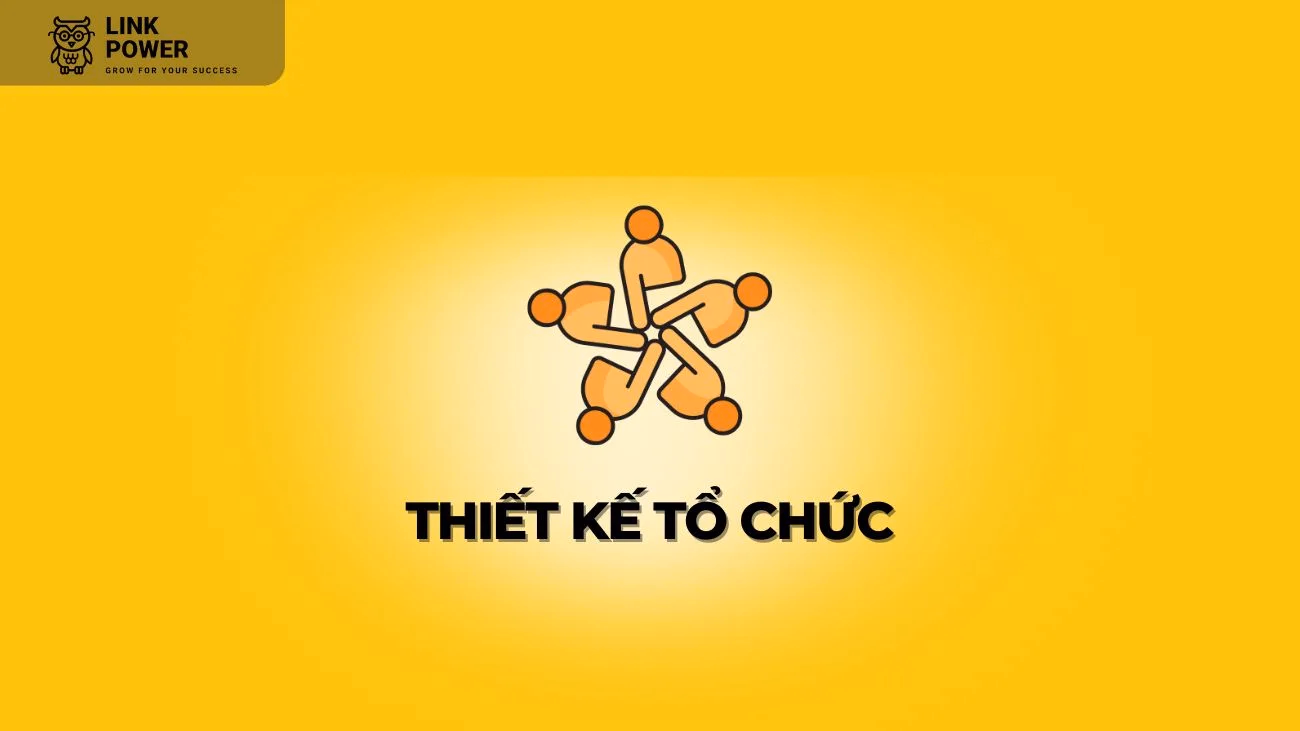 THIẾT KẾ TỔ CHỨC LÀ GÌ VÀ NGUYÊN TẮC TRONG THIẾT KẾ TỔ CHỨC