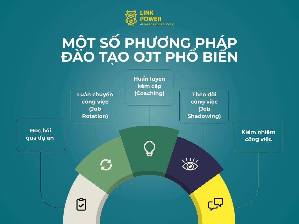 Các phương pháp đào tạo OJT