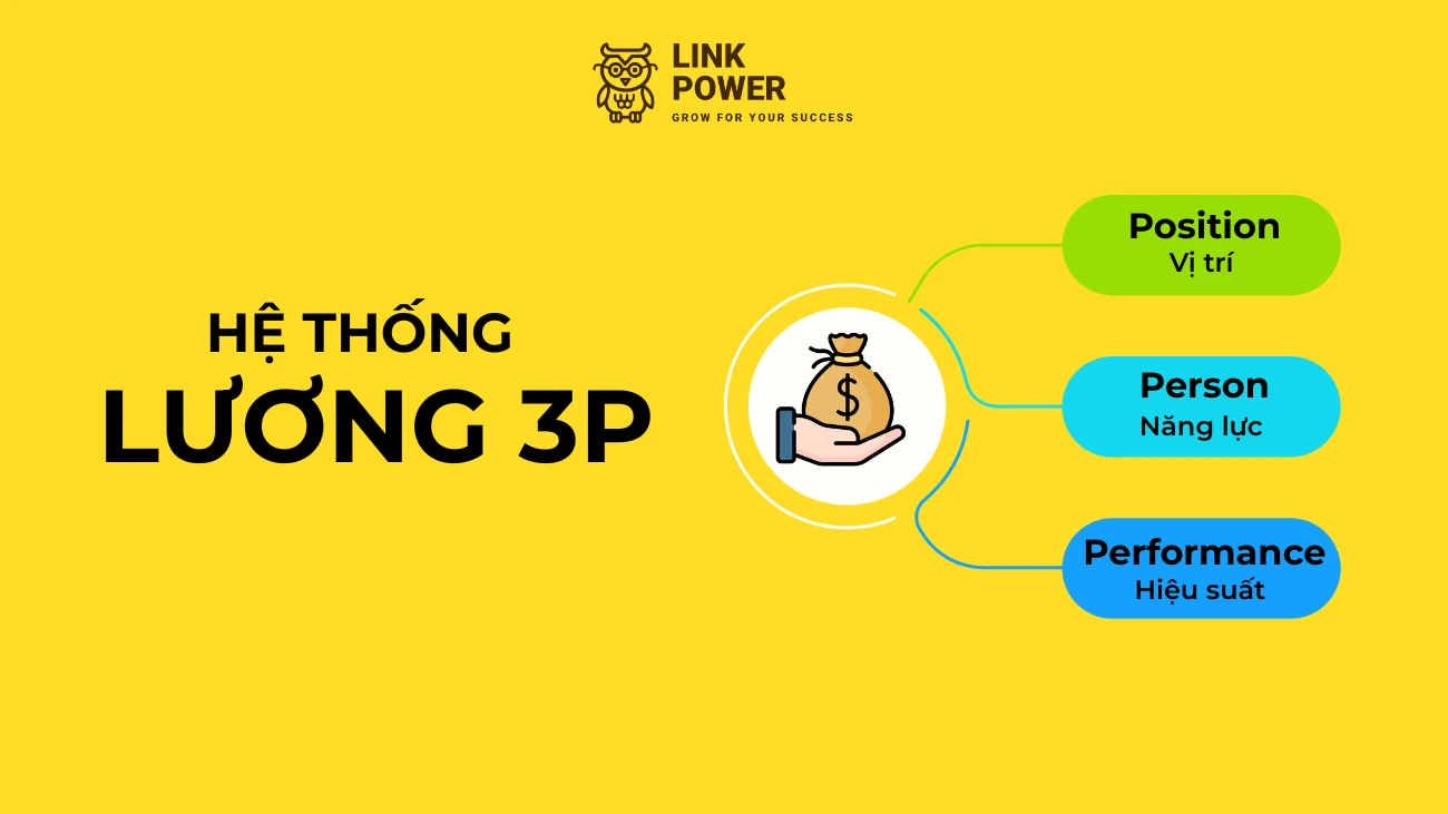 LƯƠNG 3P LÀ GÌ? ĐIỀU MỌI NGƯỜI CẦN BIẾT VỀ LƯƠNG 3P