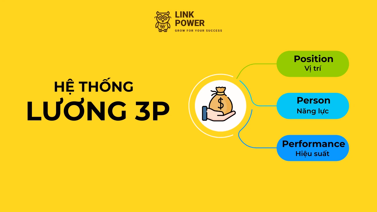 LƯƠNG 3P LÀ GÌ? ĐIỀU MỌI NGƯỜI CẦN BIẾT VỀ LƯƠNG 3P