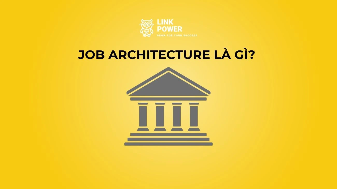 JOB ARCHITECTURE LÀ GÌ? VÍ DỤ VỀ JOB ARCHITECTURE VÀ CÁCH XÂY DỰNG