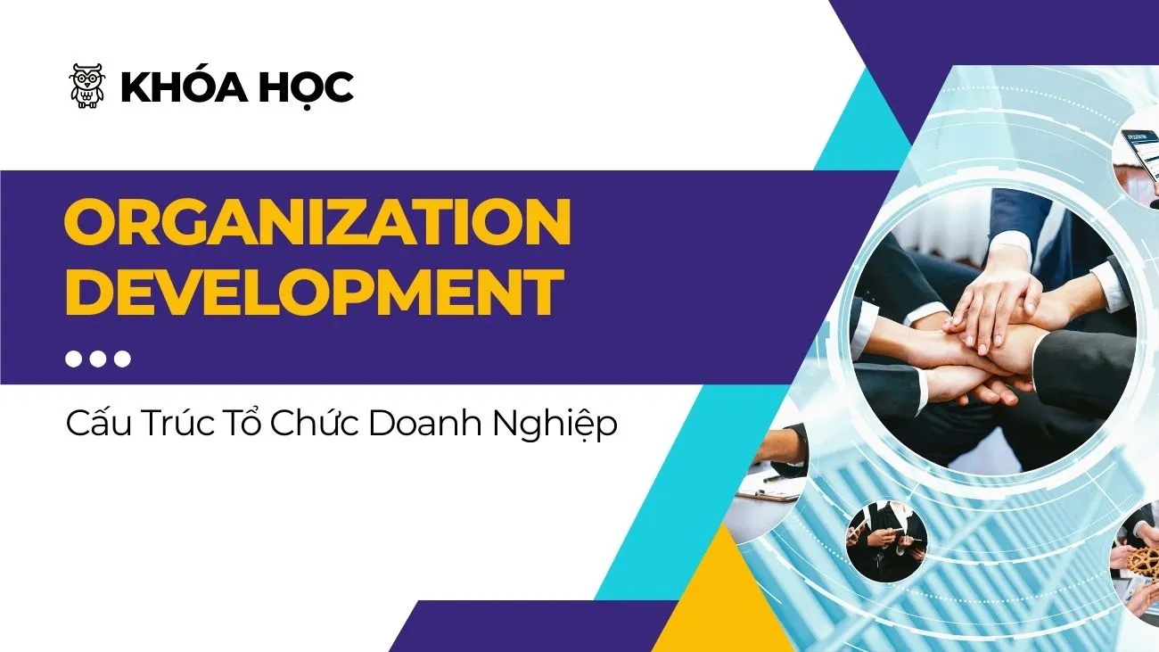 KHÓA HỌC ORGANIZATION DEVELOPMENT - CẤU TRÚC TỔ CHỨC DOANH NGHIỆP
