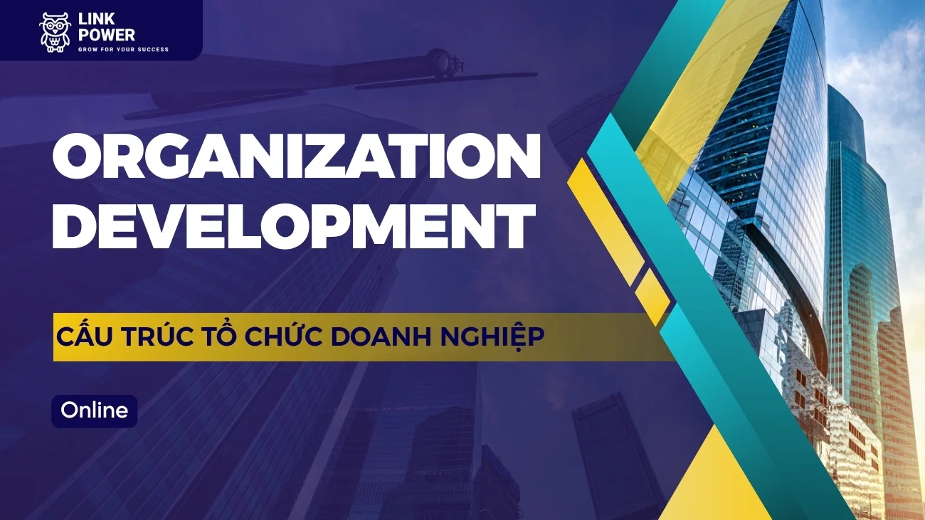KHÓA HỌC ORGANIZATION DEVELOPMENT - CẤU TRÚC TỔ CHỨC DOANH NGHIỆP