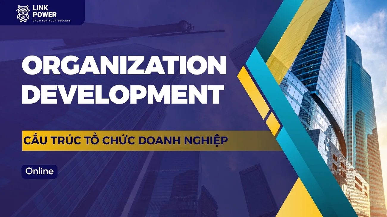 KHÓA HỌC ORGANIZATION DEVELOPMENT - CẤU TRÚC TỔ CHỨC DOANH NGHIỆP