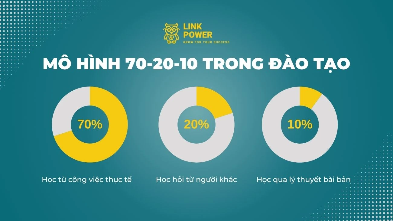 MÔ HÌNH 70-20-10 VÀ CÁCH ỨNG DỤNG TRONG ĐÀO TẠO VÀ PHÁT TRIỂN NHÂN SỰ