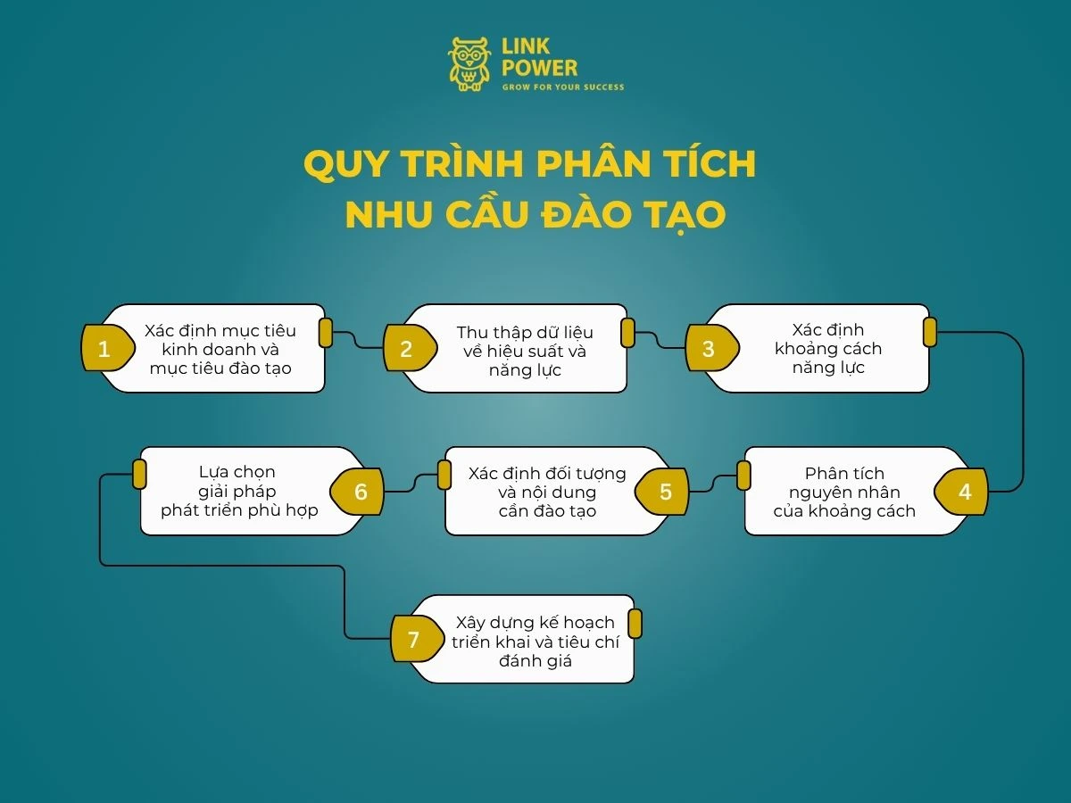 Quy trình phân tích nhu cầu đào tạo