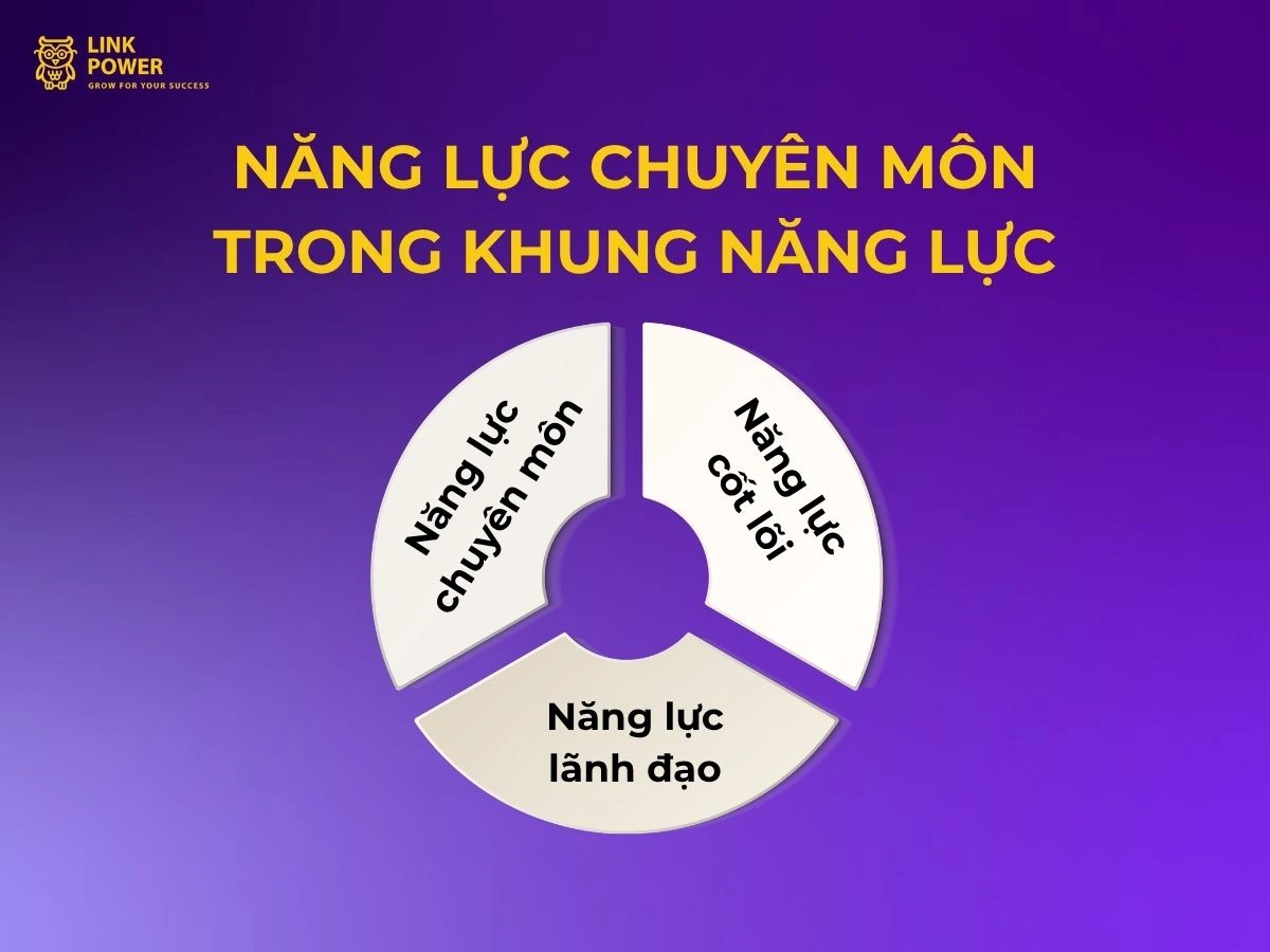 Năng lực chuyên môn trong khung năng lực