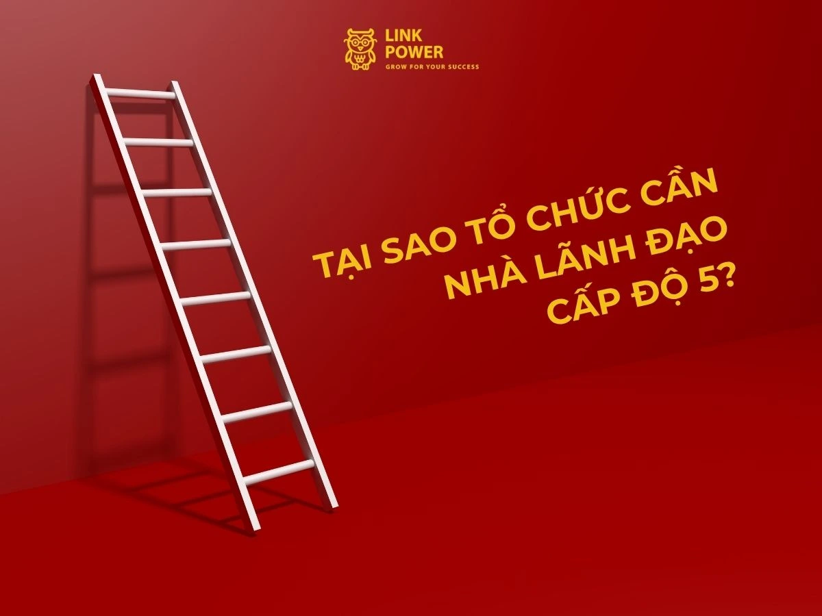 Tại sao tổ chức cần nhà lãnh đạo cấp độ 5