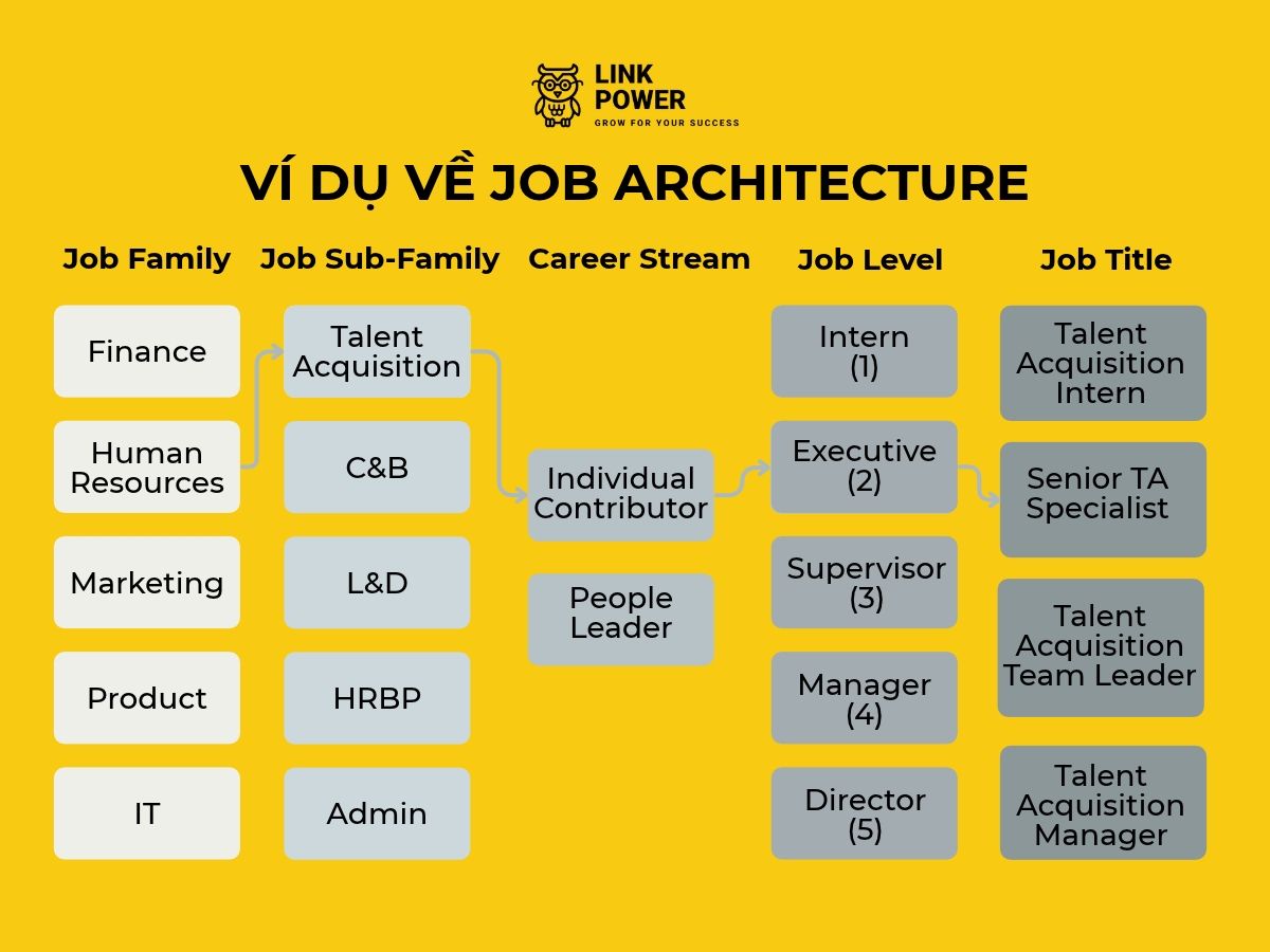 Ví dụ về Job Architecture