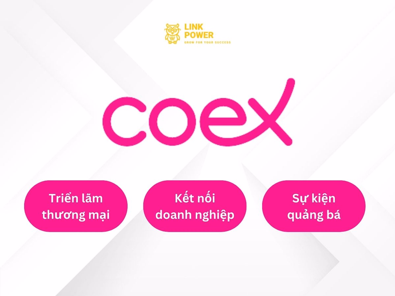 COEX - CẦU NỐI CHO DOANH NGHIỆP MỞ RỘNG THỊ TRƯỜNG
