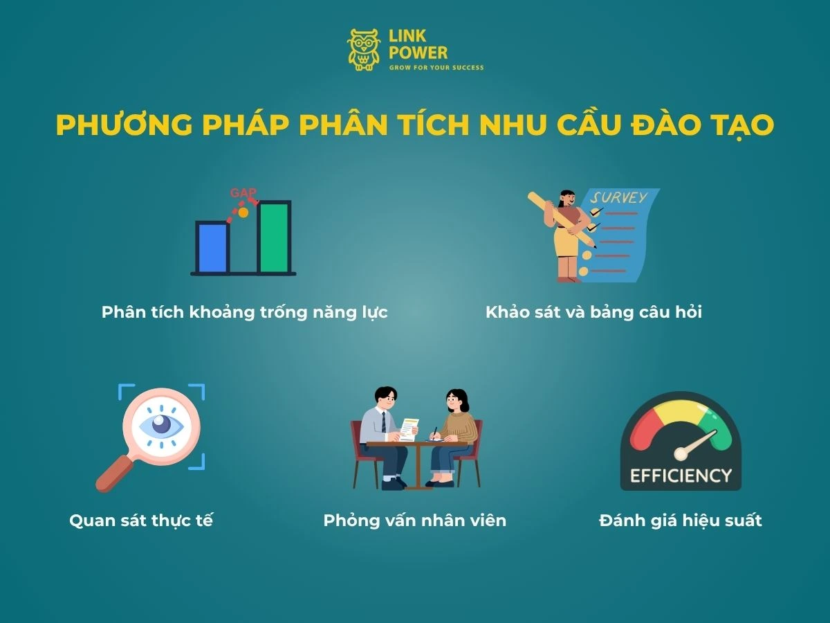Phương pháp phân tích nhu cầu đào tạo
