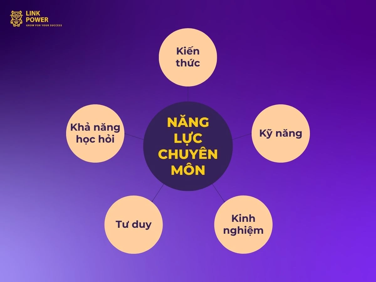 Năng lực chuyên môn là gì