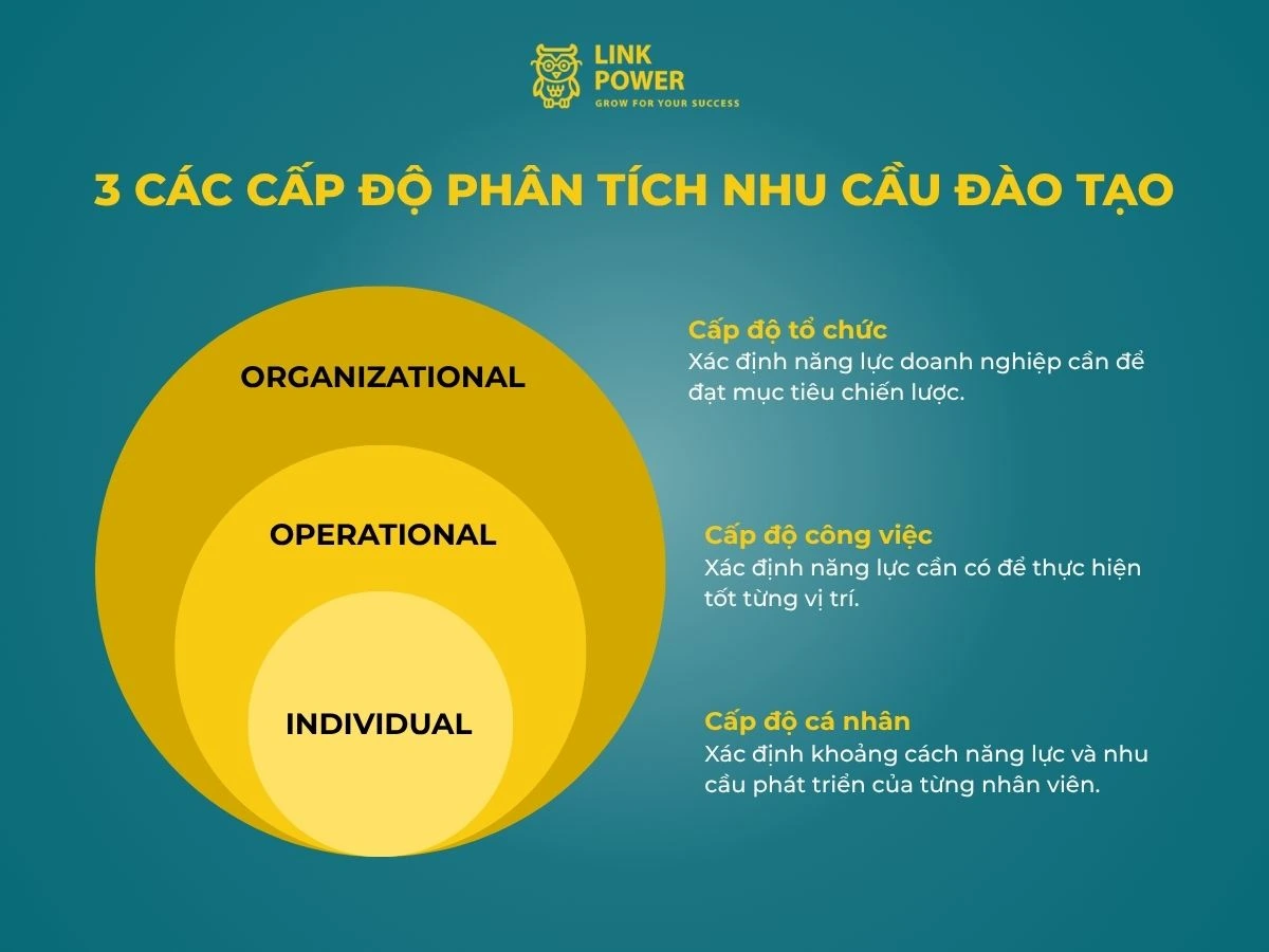 cấp độ phân tích nhu cầu đào tạo