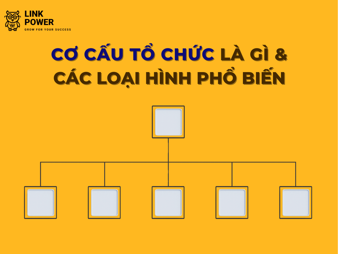 CƠ CẤU TỔ CHỨC LÀ GÌ VÀ CÁC LOẠI HÌNH PHỔ BIẾN?